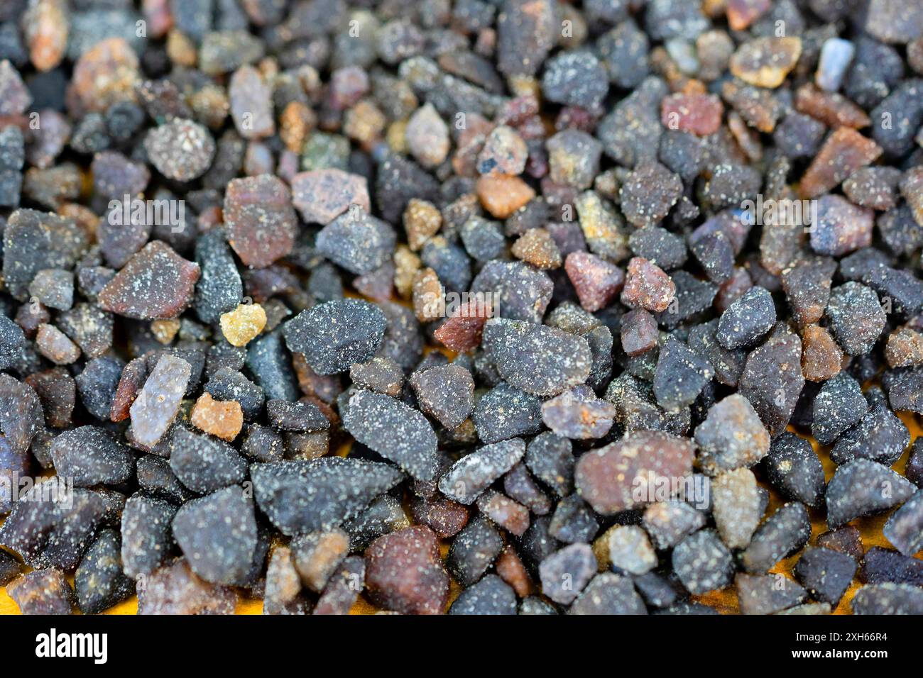 Sale nero, Kala Namak Foto Stock