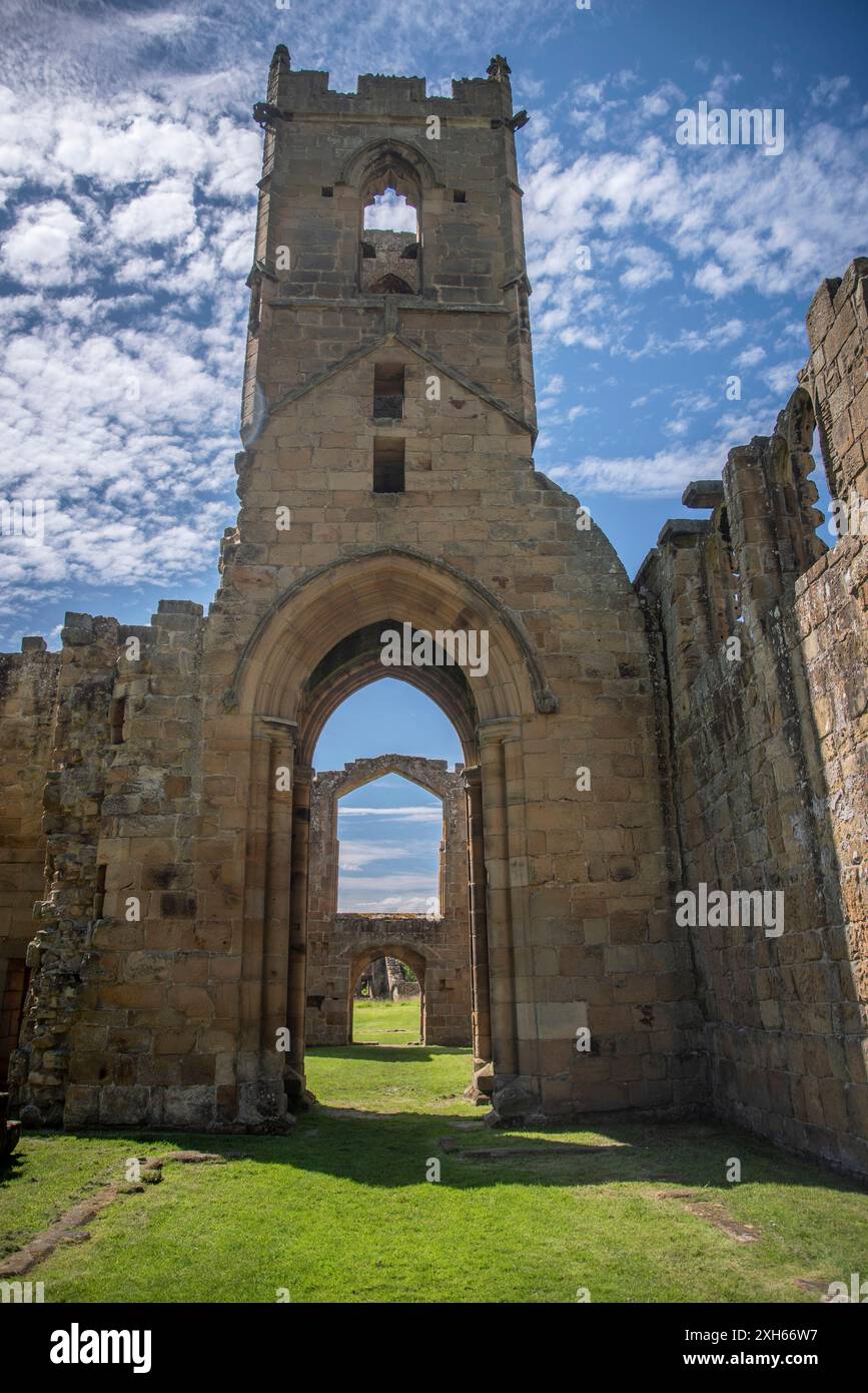 Le rovine del Mount Grace Priory nella parrocchia di East Harlsey, North Yorkshire, Regno Unito Foto Stock