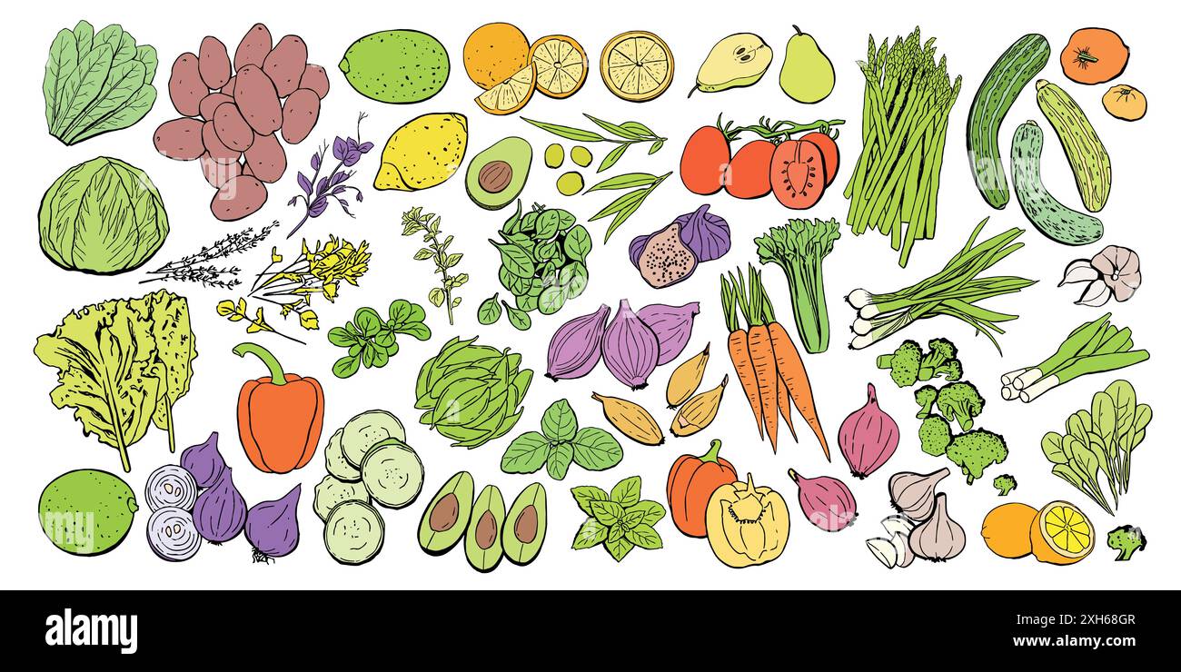 Set di icone vettoriali per frutta e verdura. Illustrazione di frutta e verdura colorate per prodotti agricoli di design, etichetta del mercato negozio vegetariano. Illustrazione Vettoriale