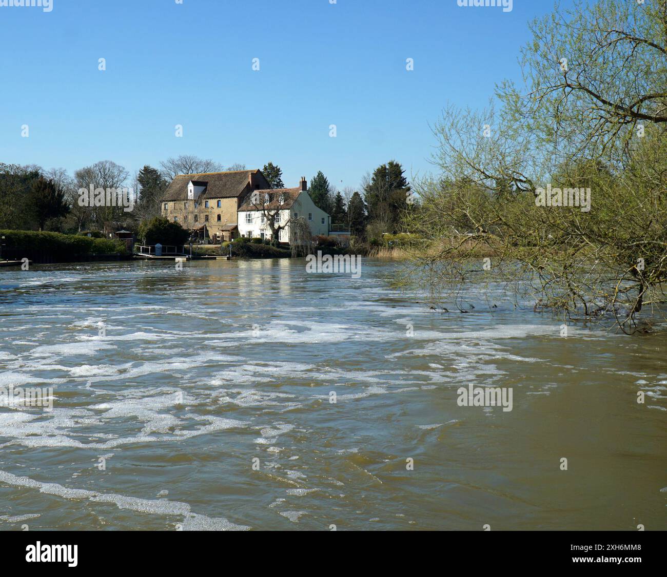 Il fiume Great Ouse a St. Neots è gonfio dopo una forte pioggia. Foto Stock