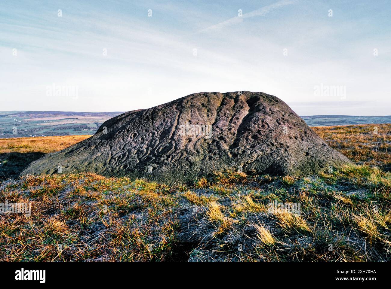 Il Badger Pietra, Ilkley Moor, West Yorkshire, Inghilterra. Boulder naturale intagliato con coppa di epoca preistorica e anello segna l arte rupestre Foto Stock