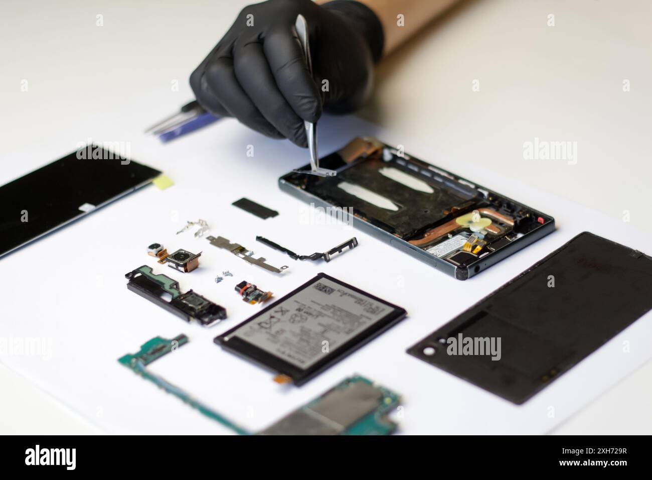 Riparazione professionale di uno smartphone smontato, master con pinzette e guanti che lavora su parti rotte. Smartphone smontato con le parti disposte Foto Stock
