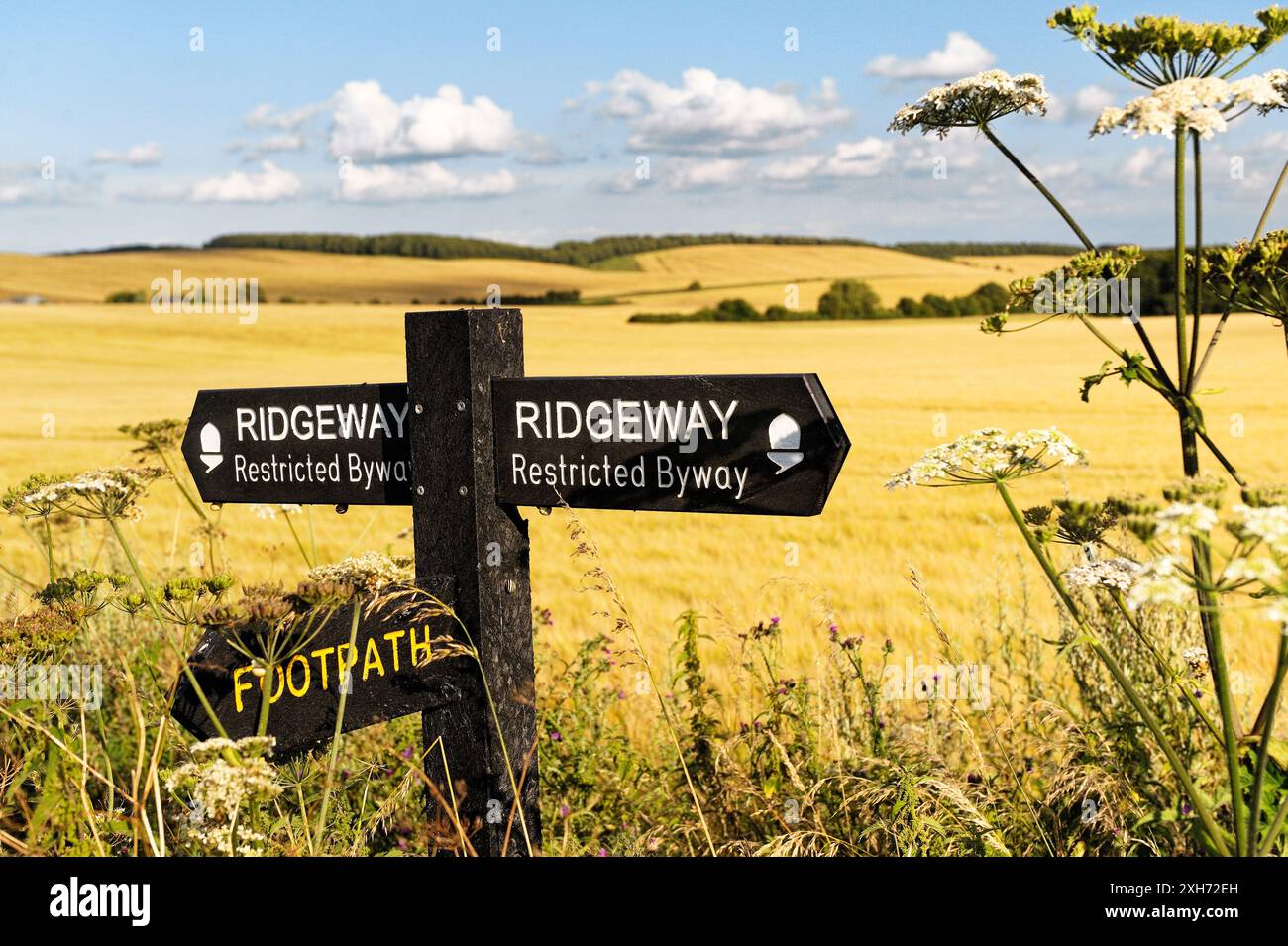 La Ridgeway. Segno su 5000 anni di distanza lungo il percorso visto tra Uffington Castle e Wayland's Smithy. Oxfordshire, Inghilterra Foto Stock