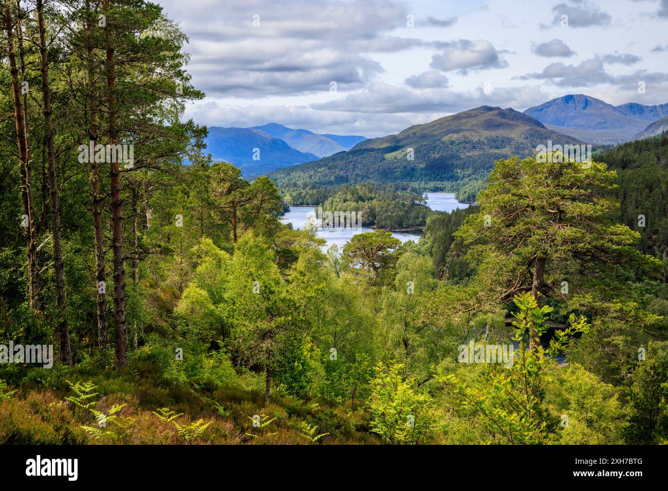 Loch Beinn A' Mheadhoin e montagna attraverso la foresta Caledoniana a Glen Affric, Inverness, Scozia Foto Stock
