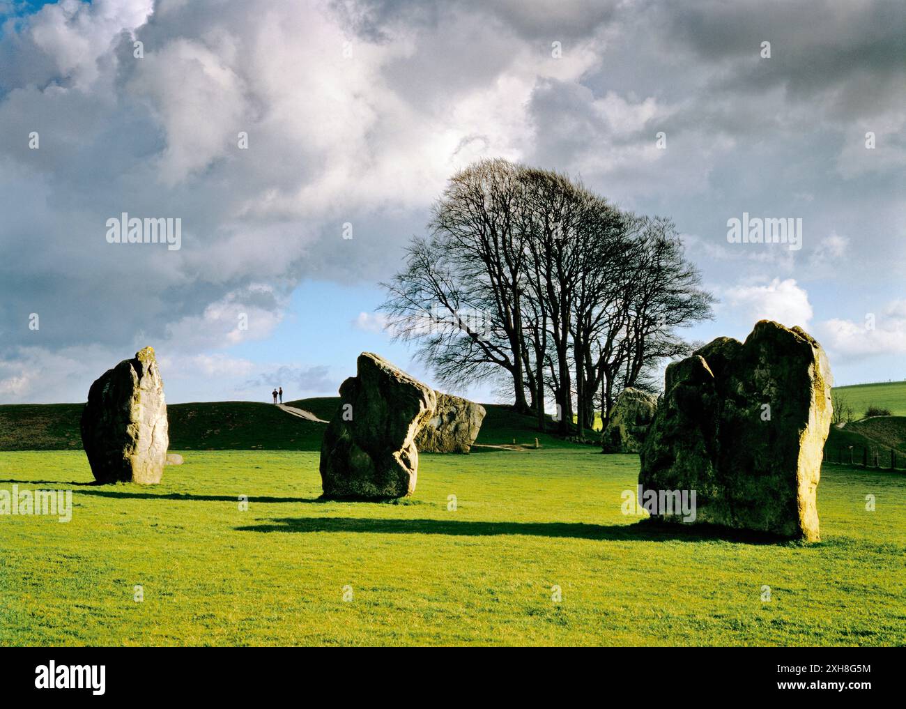 Le persone che circondano la terra lavorano oltre 3 delle pietre erette dell'enorme circolo di pietre preistoriche di Avebury, Wiltshire, Inghilterra Foto Stock