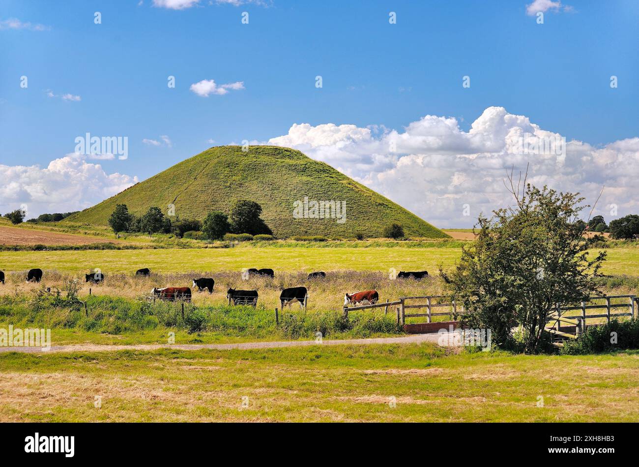 Silbury Hill artificiale preistorica del Neolitico tumulo di gesso al di fuori del villaggio di Avebury, Wiltshire, Inghilterra. 4750 anni 40m alto Foto Stock