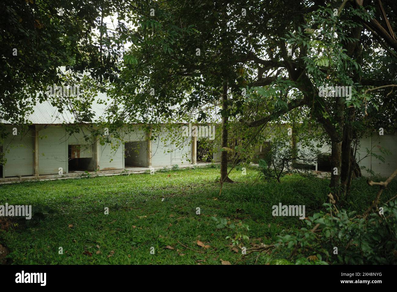 Diversi piccoli chioschi di negozi sono diventati edifici abbandonati e pieni di piante selvatiche Foto Stock