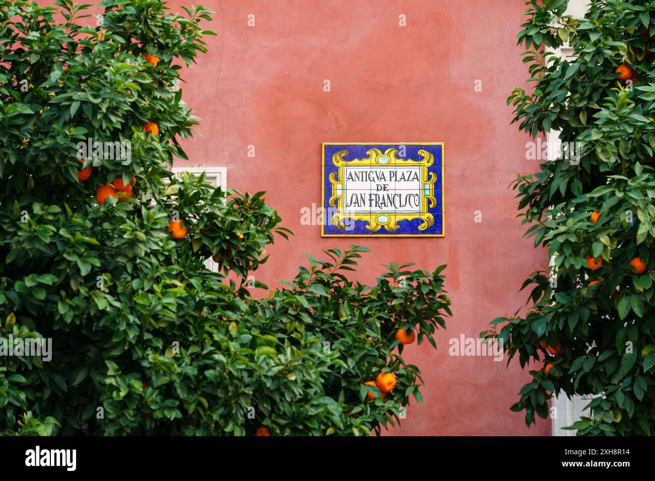 Siviglia, Spagna. 5 febbraio 2024 - cartello Antigua Plaza De San Francisco incorniciato da alberi di arancio Foto Stock