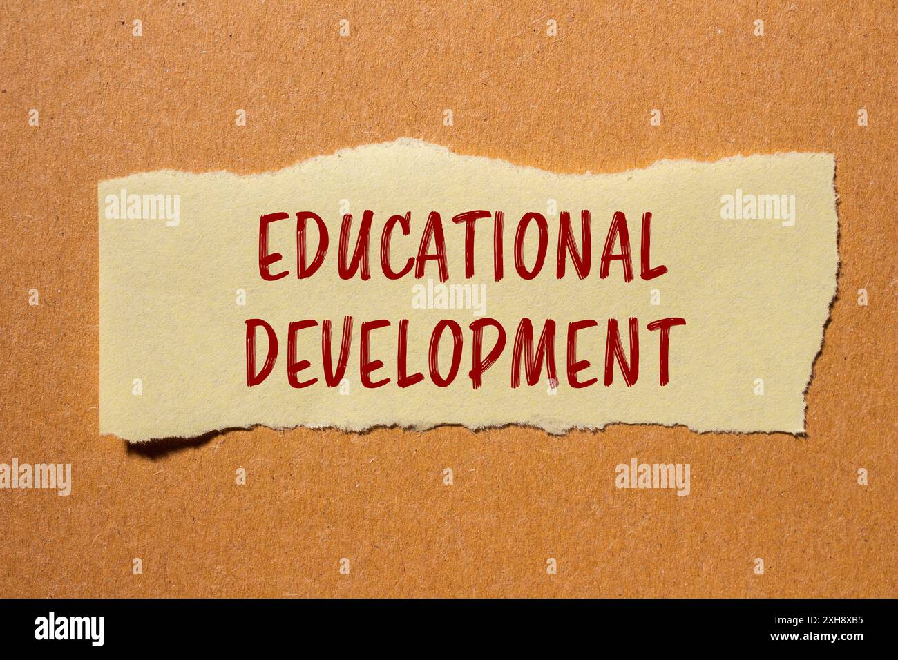 Messaggio di sviluppo educativo scritto su un pezzo di carta strappato con sfondo in cartone. Simbolo dello sviluppo concettuale educativo. Copia spazio. Foto Stock