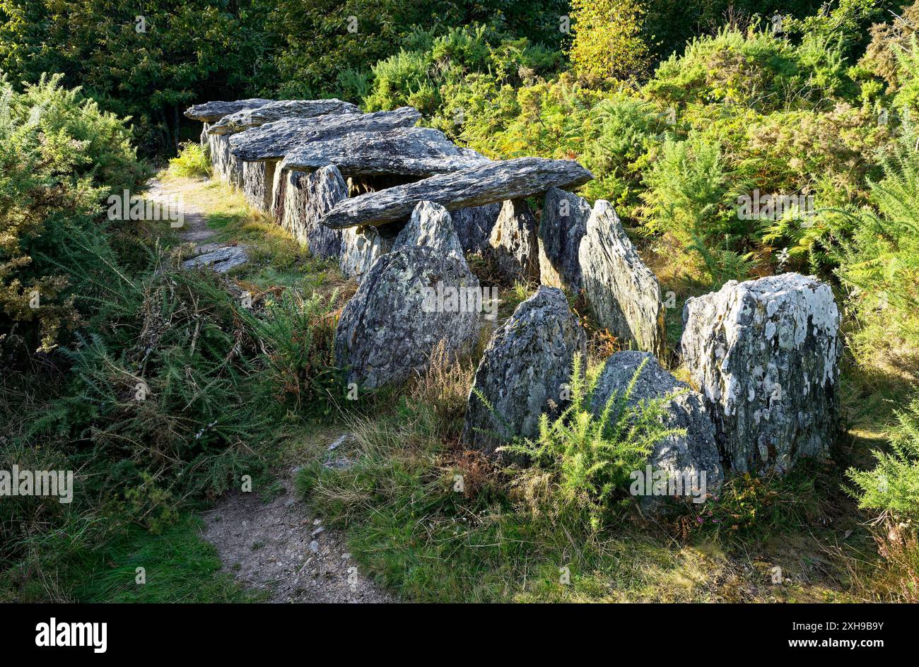 Saint-Just, Brittany, Francia. Passaggio preistorico grave allée couverte noto come La Grotte des Fées de Tréal Foto Stock