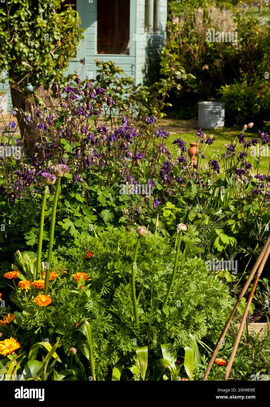 Un giardino di campagna Regno Unito Foto Stock