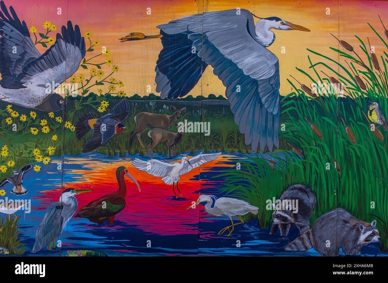 murales al. Riserva naturale nazionale Valle de Oro Foto Stock