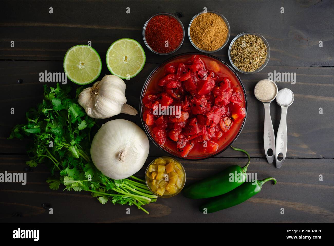 Frullatore salsa ingredienti su un tavolo di legno: Pomodori arrostiti a fuoco in scatola, coriandolo, cipolla, peperoni jalapeno, spezie, e molto altro ancora Foto Stock