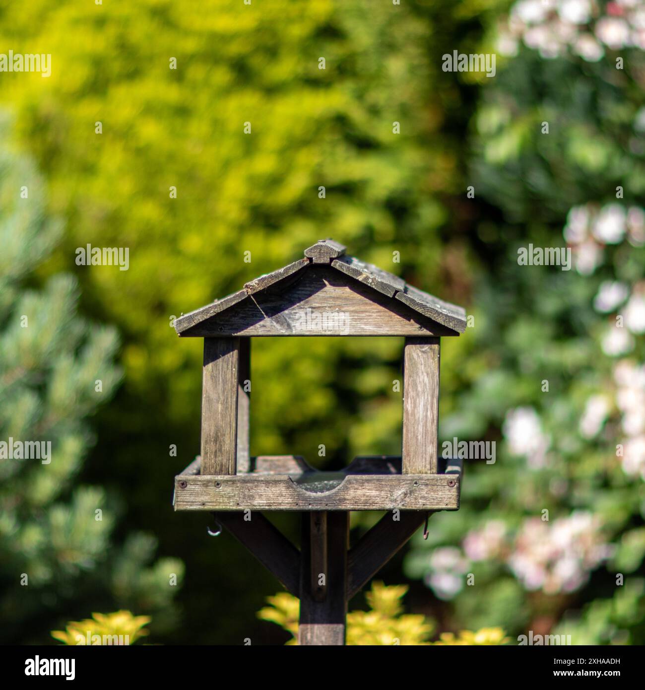Una fotografia di un tavolo di uccelli in un giardino nel regno unito, scattata con una profondità di campo bassa Foto Stock