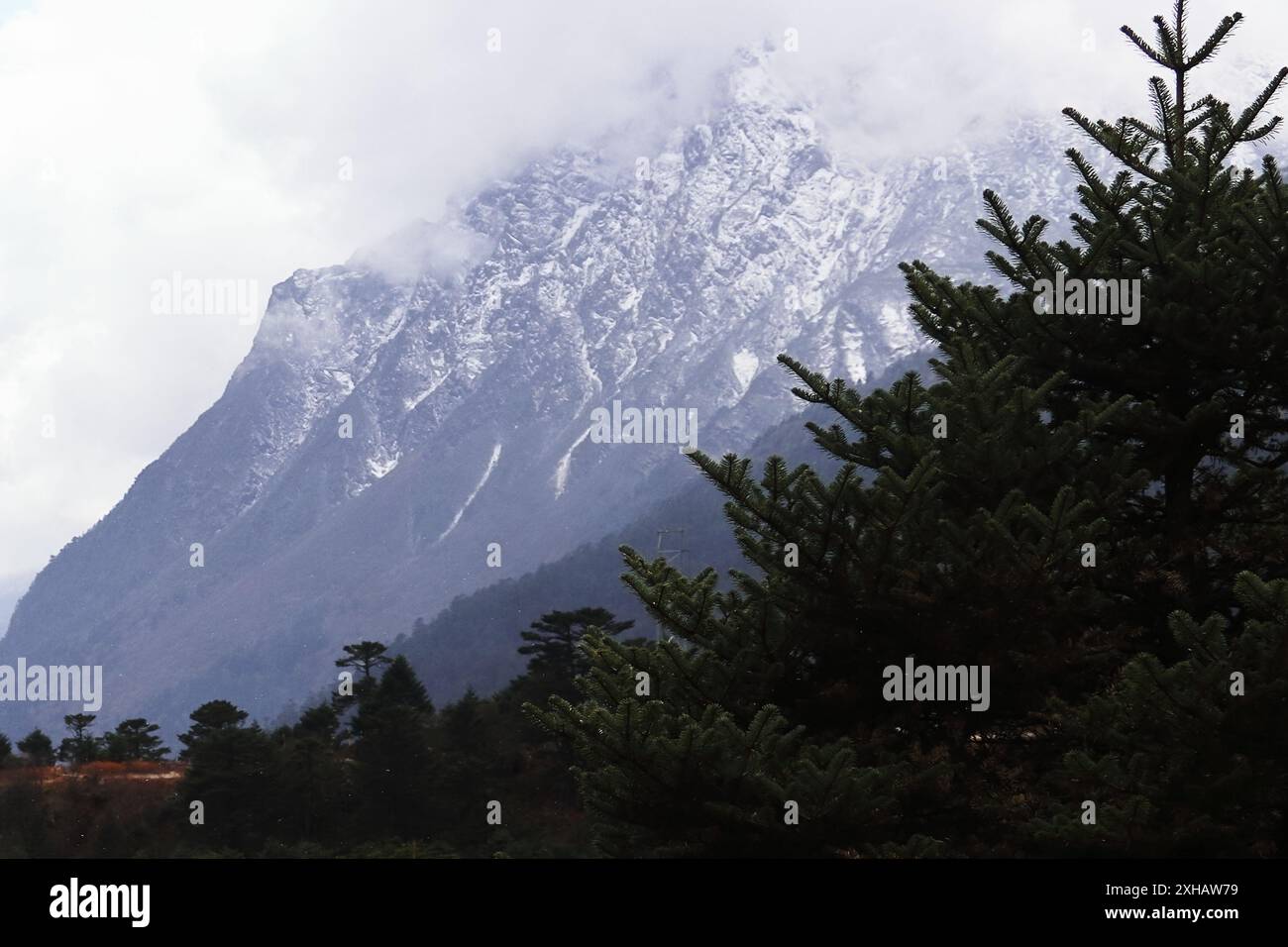 nuvole e nebbia coprono il paesaggio di montagna panoramico, il panorama dell'himalaya innevato e la foresta alpina nel sikkim settentrionale, avventura in viaggio in india Foto Stock