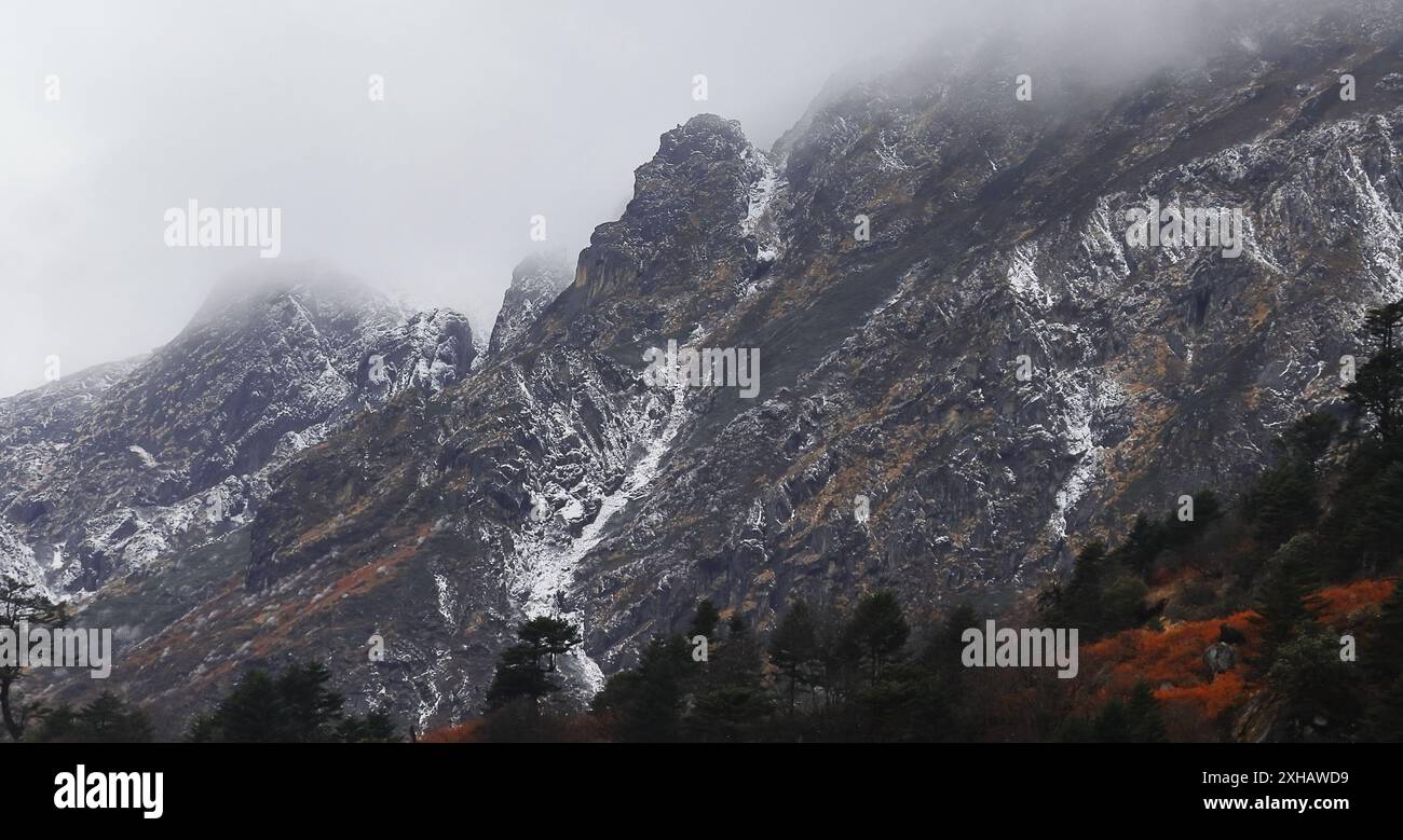 nuvole e nebbia coprono il paesaggio di montagna panoramico, il panorama dell'himalaya innevato e la foresta alpina nel sikkim settentrionale, avventura in viaggio in india Foto Stock