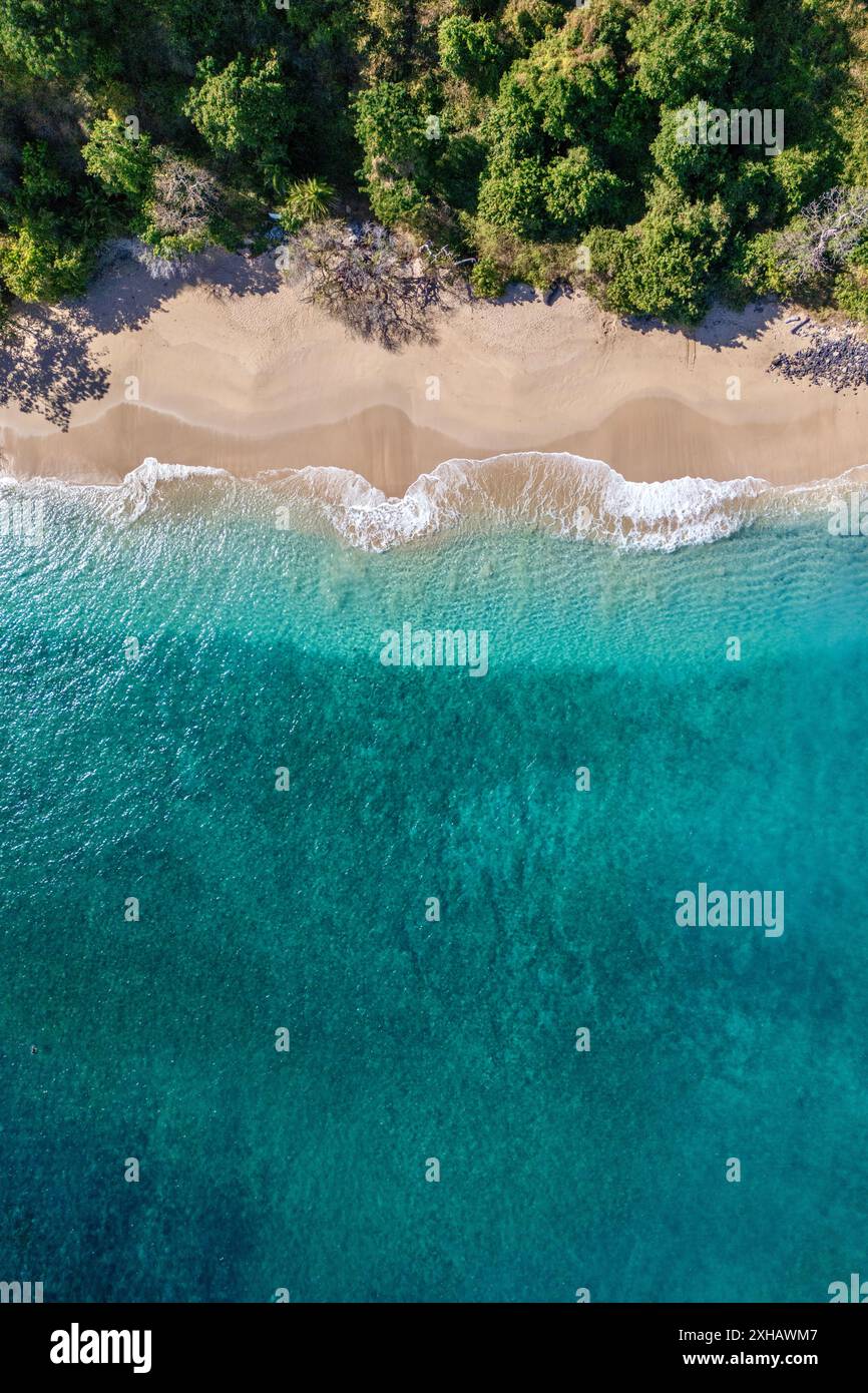 La vita sulla barriera corallina della laguna di mayotte nell'Oceano Indiano Foto Stock