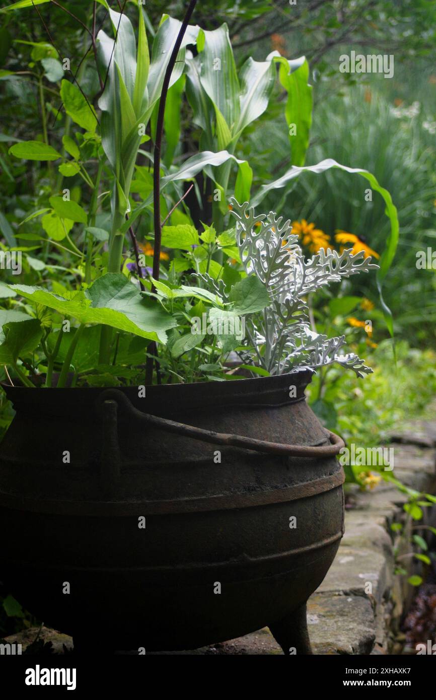 Vaso di fiori di metallo su un muro di pietra in mattoni in un giardino fiorito. Mulino. Plymouth, Massachusetts. Foto Stock