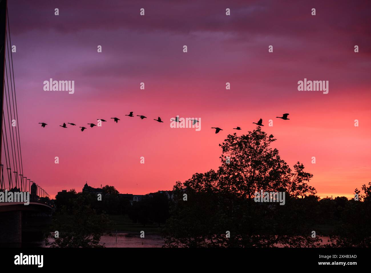 Tramonto stupefacente Foto Stock