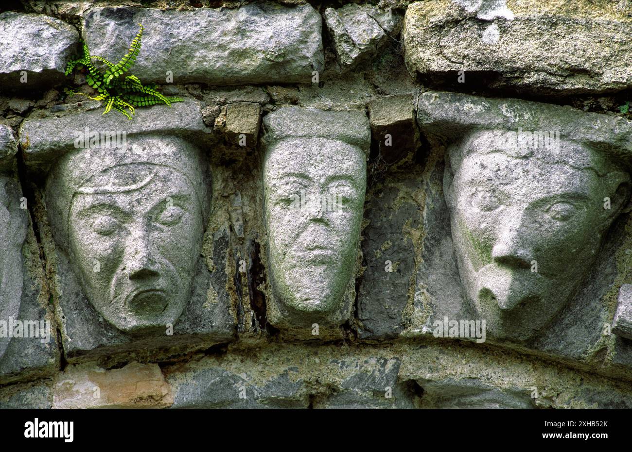 Teste umane e animali scolpite in pietra sull'arco romanico della porta dell'antica chiesa monastica a Dysert o'Dea, contea di Clare, Irlanda Foto Stock