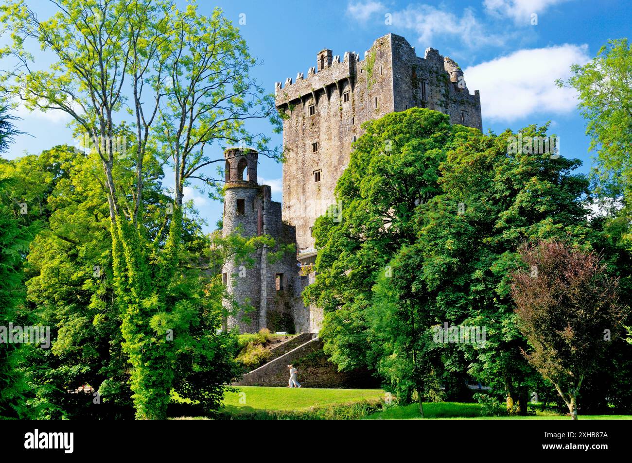 Castello di Blarney, contea di Cork, Irlanda. La pietra di Blarney si trova nelle merlature in cima alla fortezza del castello Foto Stock