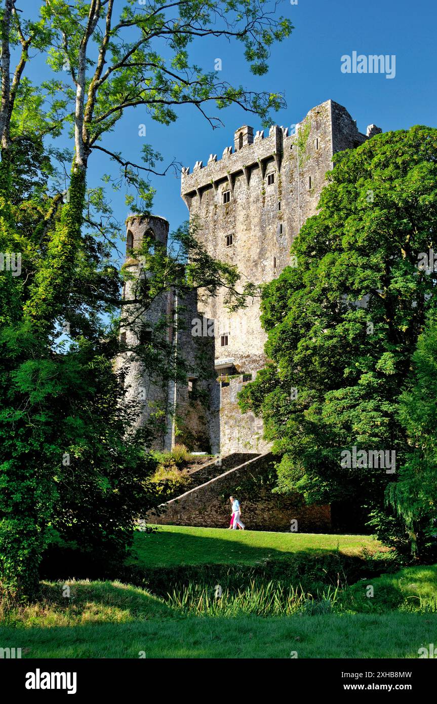 Castello di Blarney, contea di Cork, Irlanda. La pietra di Blarney si trova nelle merlature in cima alla fortezza del castello Foto Stock