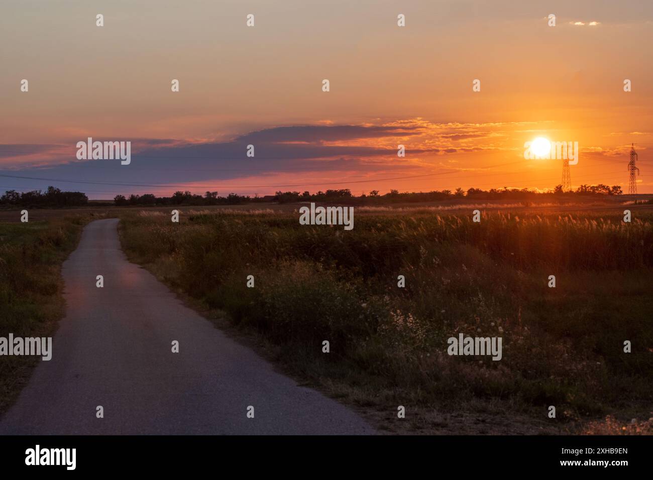Bellissimo tramonto sulla strada. Un tranquillo paesaggio rurale. Ora d'oro, tonalità arancio, cielo con nuvole. Foto Stock