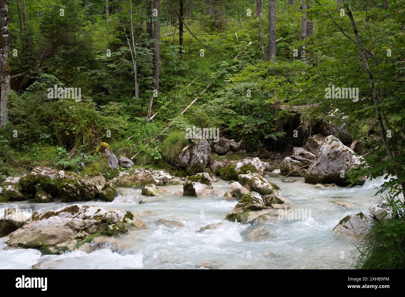 Fiume Ramsauer Ache, Zauberwald, Ramsau bei Berchtesgaden, Germania, Europa Foto Stock