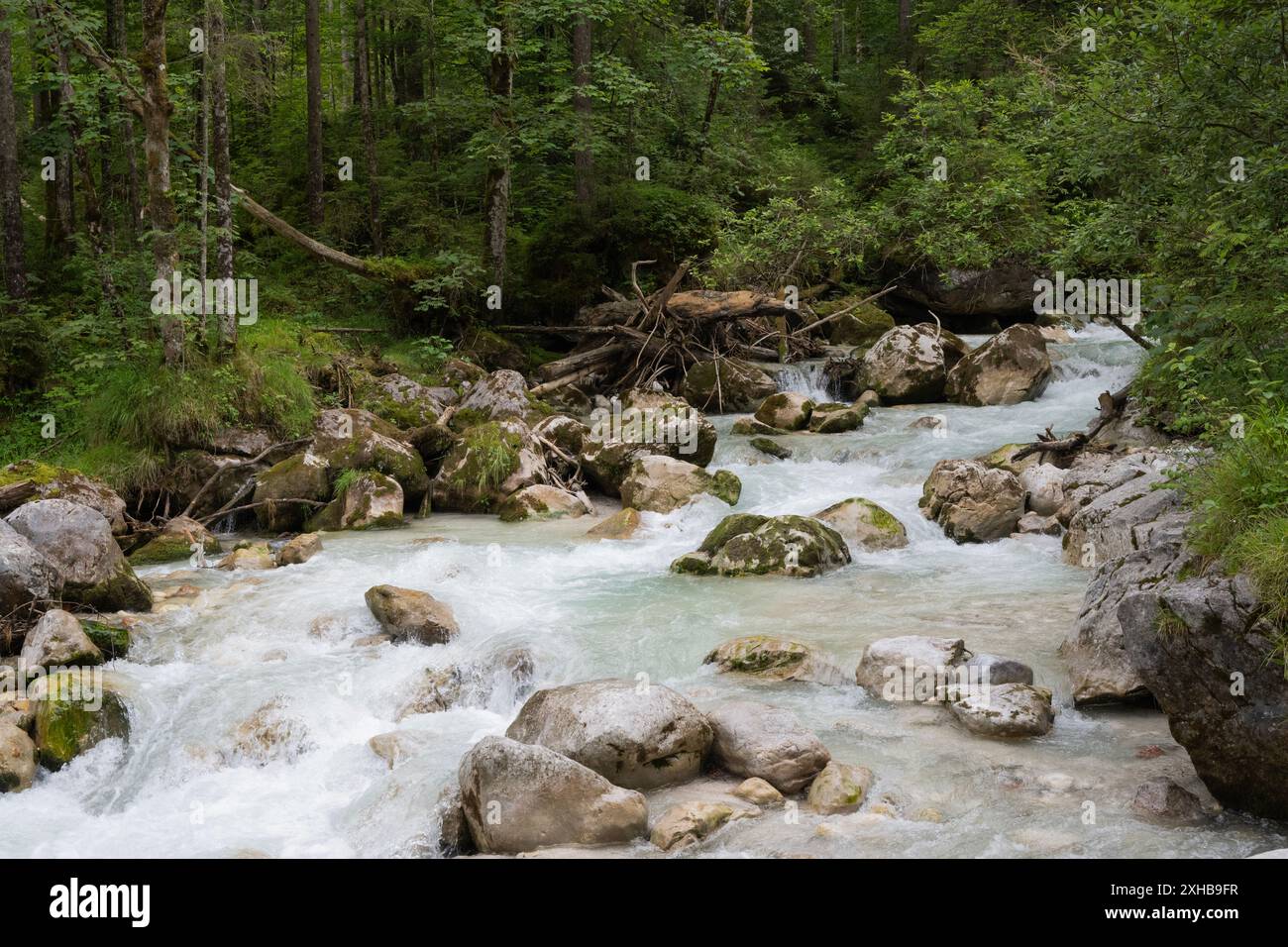 Fiume Ramsauer Ache, Zauberwald, Ramsau bei Berchtesgaden, Germania, Europa Foto Stock