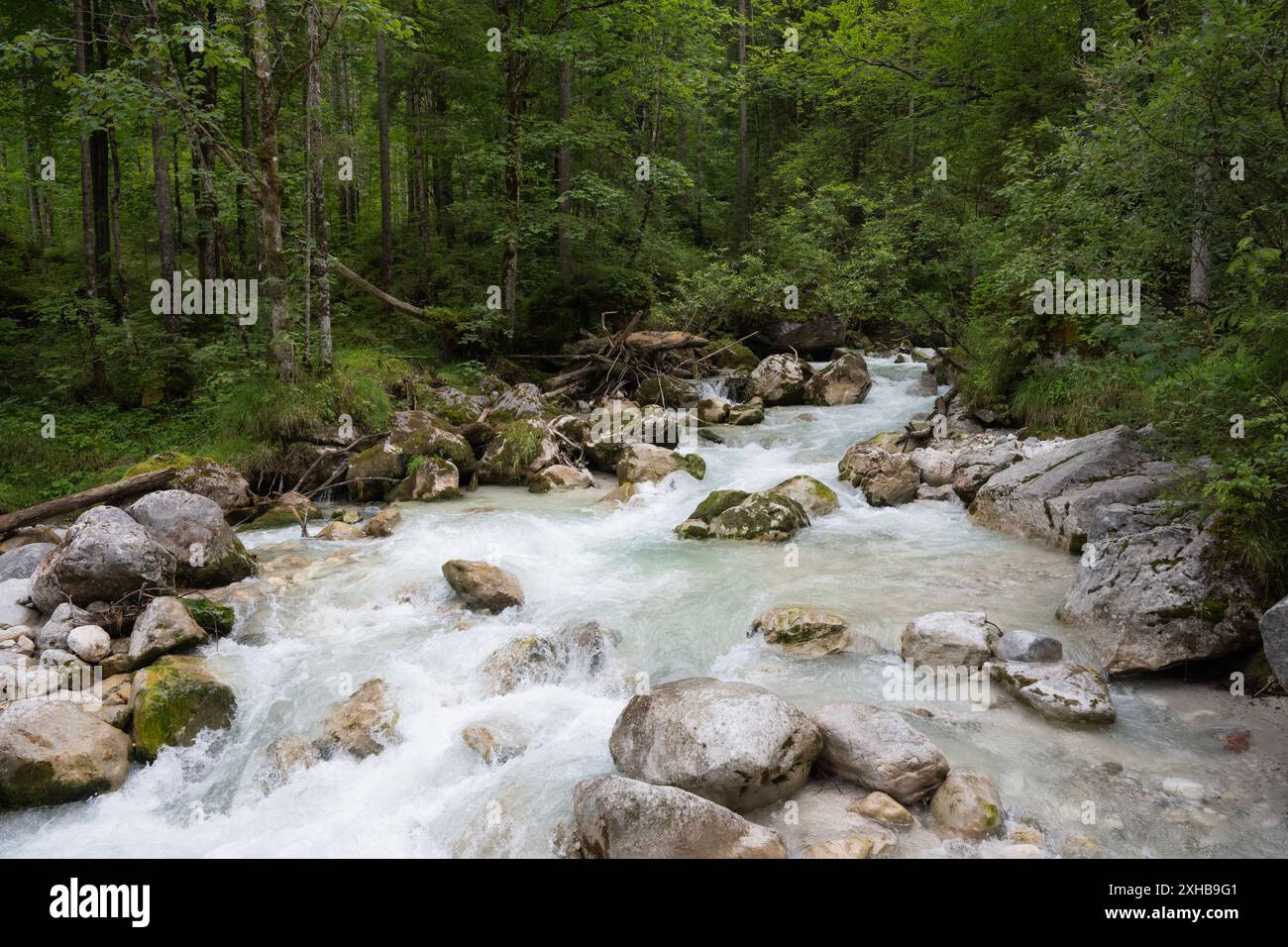 Fiume Ramsauer Ache, Zauberwald, Ramsau bei Berchtesgaden, Germania, Europa Foto Stock