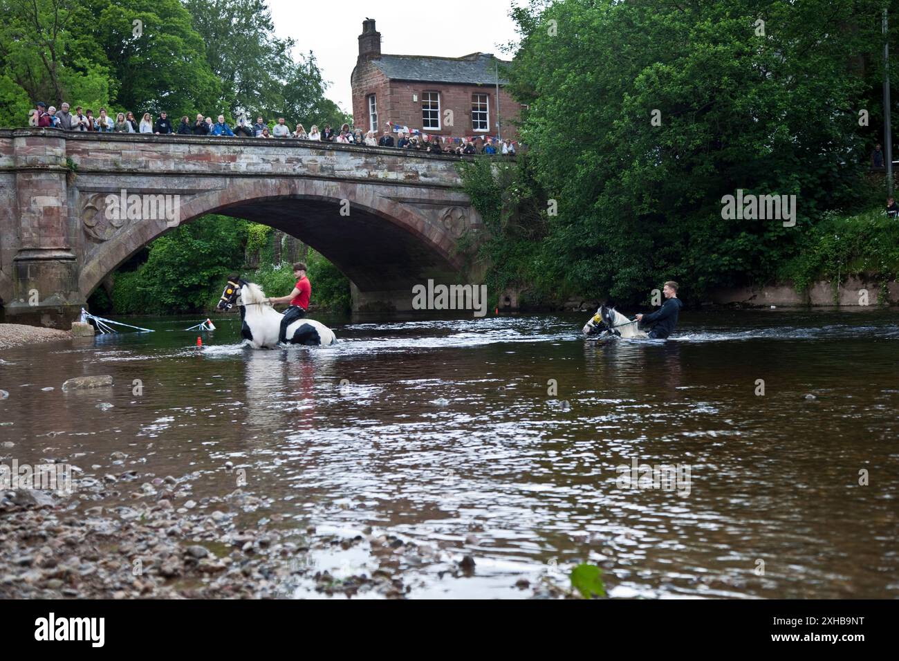 Lavaggio dei cavalli, River Eden, Appleby Horse Fair, Appleby-in-Westmorland, Cumbria, REGNO UNITO Foto Stock