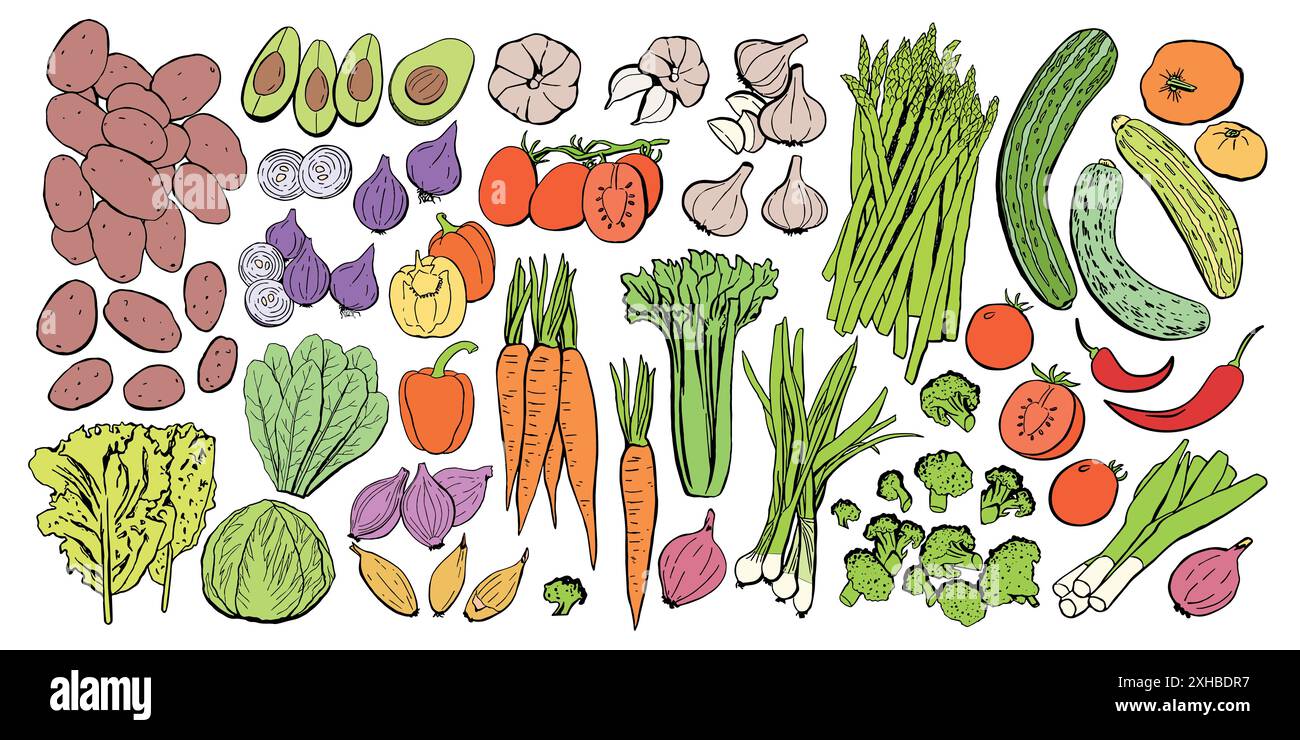 Set di icone vettoriali disegnate per verdure. Immagine di verdure colorate per prodotti agricoli di design, etichetta del mercato negozio vegetariano. Illustrazione Vettoriale