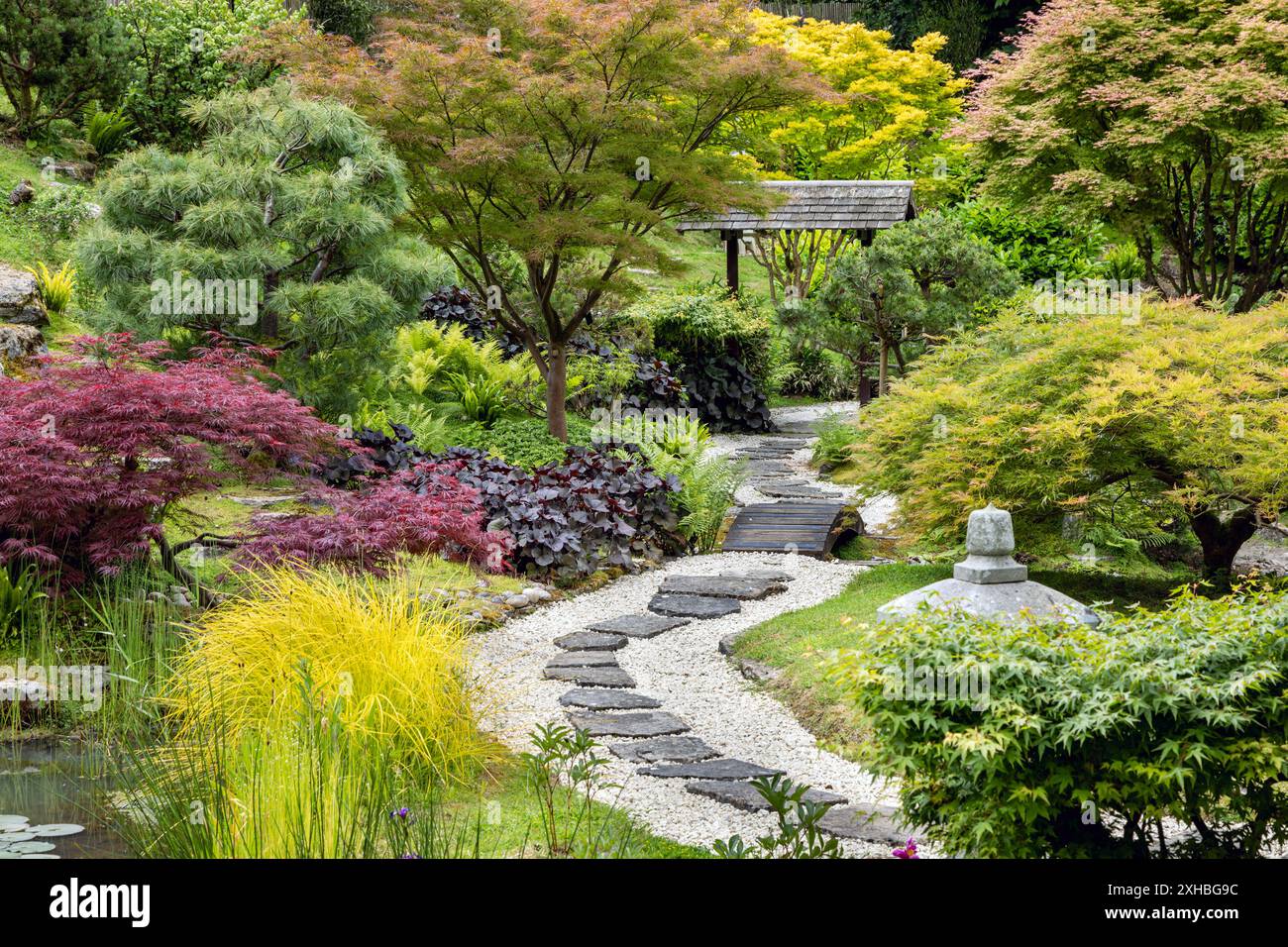 Giardino giapponese a Kingston Lacy, una casa di campagna e tenuta nel Dorset, in Inghilterra. Foto Stock