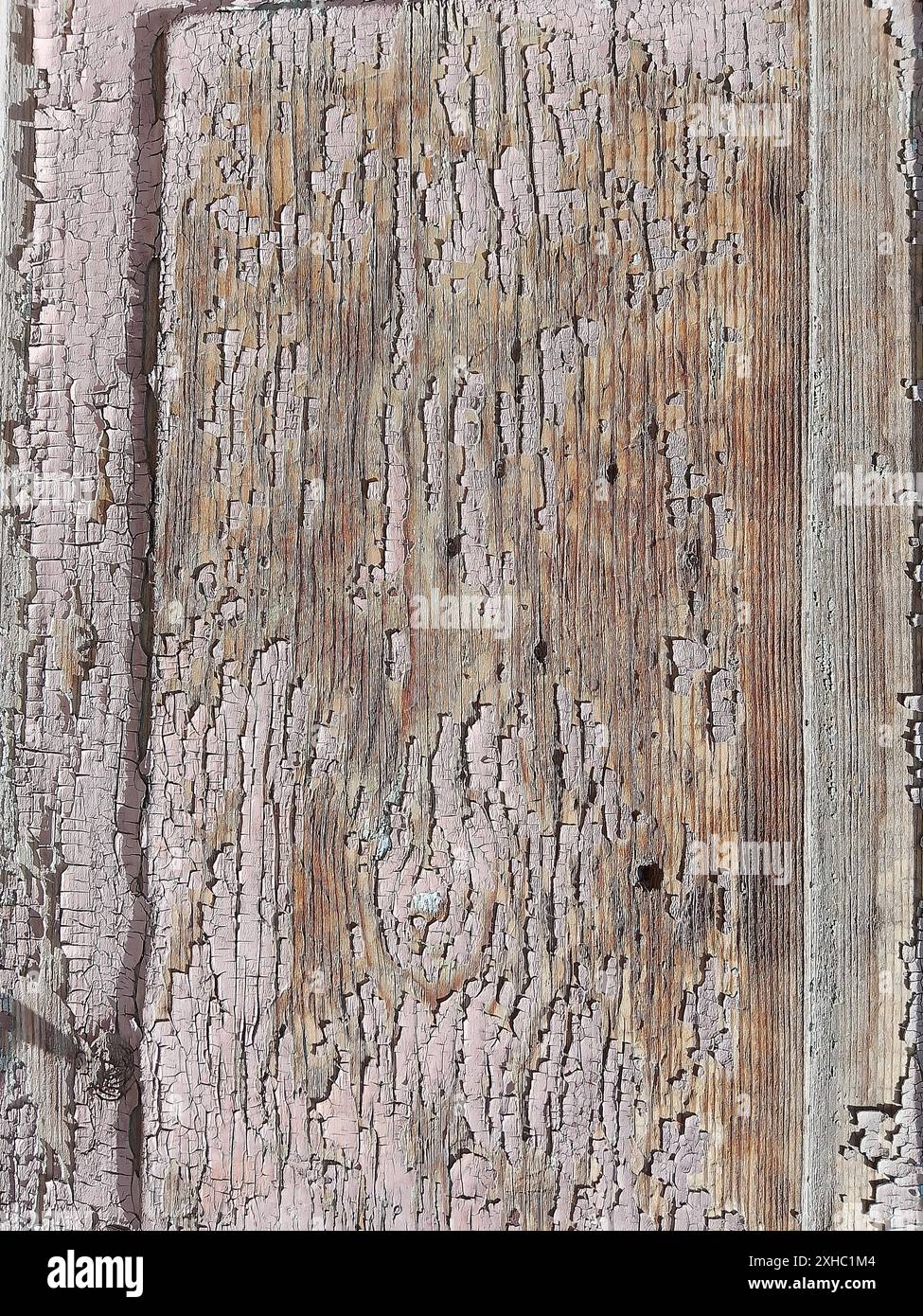 Questa immagine cattura le intricate texture di una superficie in legno intemprata con resti di vernice blu vintage che si staccano nel tempo. Il fascino rustico Foto Stock