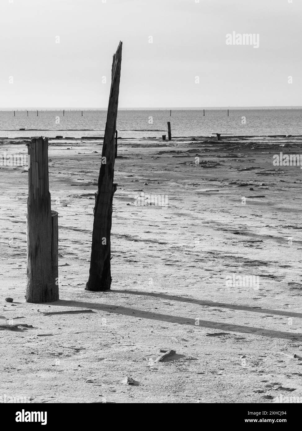 Un'immagine in bianco e nero che mostra una spiaggia desolata con pali di legno intemprati, che trasmette un senso di abbandono e solitudine. Foto Stock