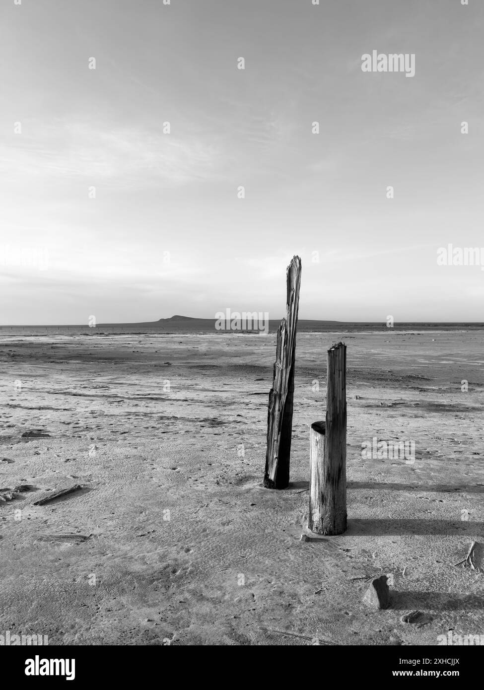 Serena fotografia in bianco e nero di una spiaggia desolata con due pali di legno intemprati contro un vasto orizzonte vuoto. Foto Stock