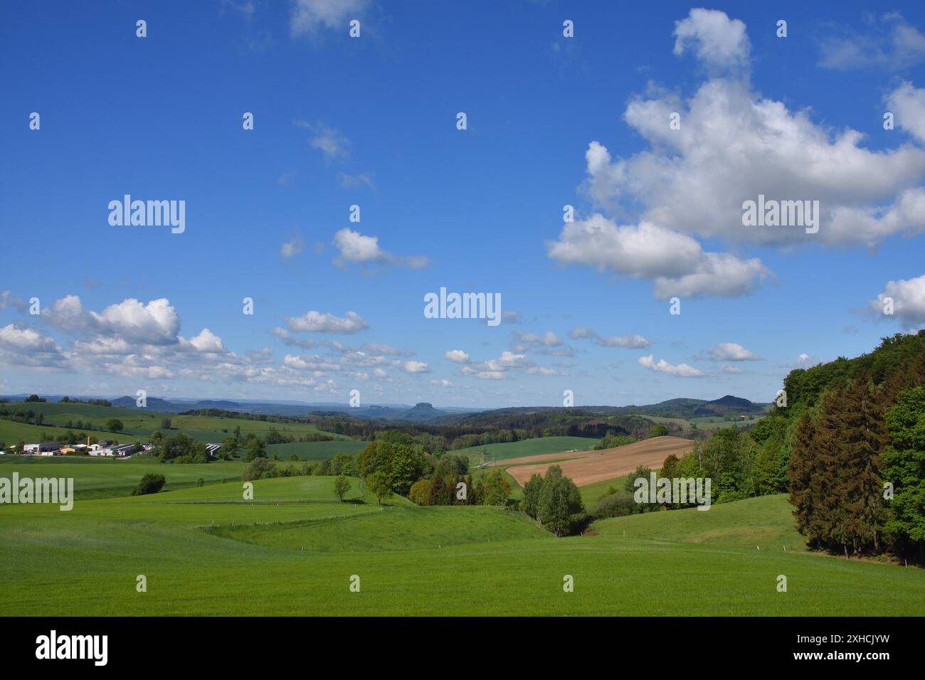 Primavera nella Svizzera sassone. Vista sulla svizzera sassone in primavera Foto Stock