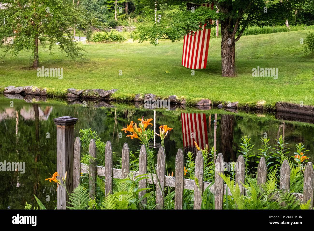 Una bandiera americana pende da un albero per celebrare il 4 luglio Foto Stock