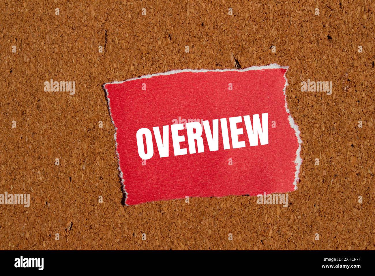 Parola panoramica scritta su un pezzo di carta rosso strappato con sfondo marrone. Simbolo della parola panoramica concettuale. Copia spazio. Foto Stock