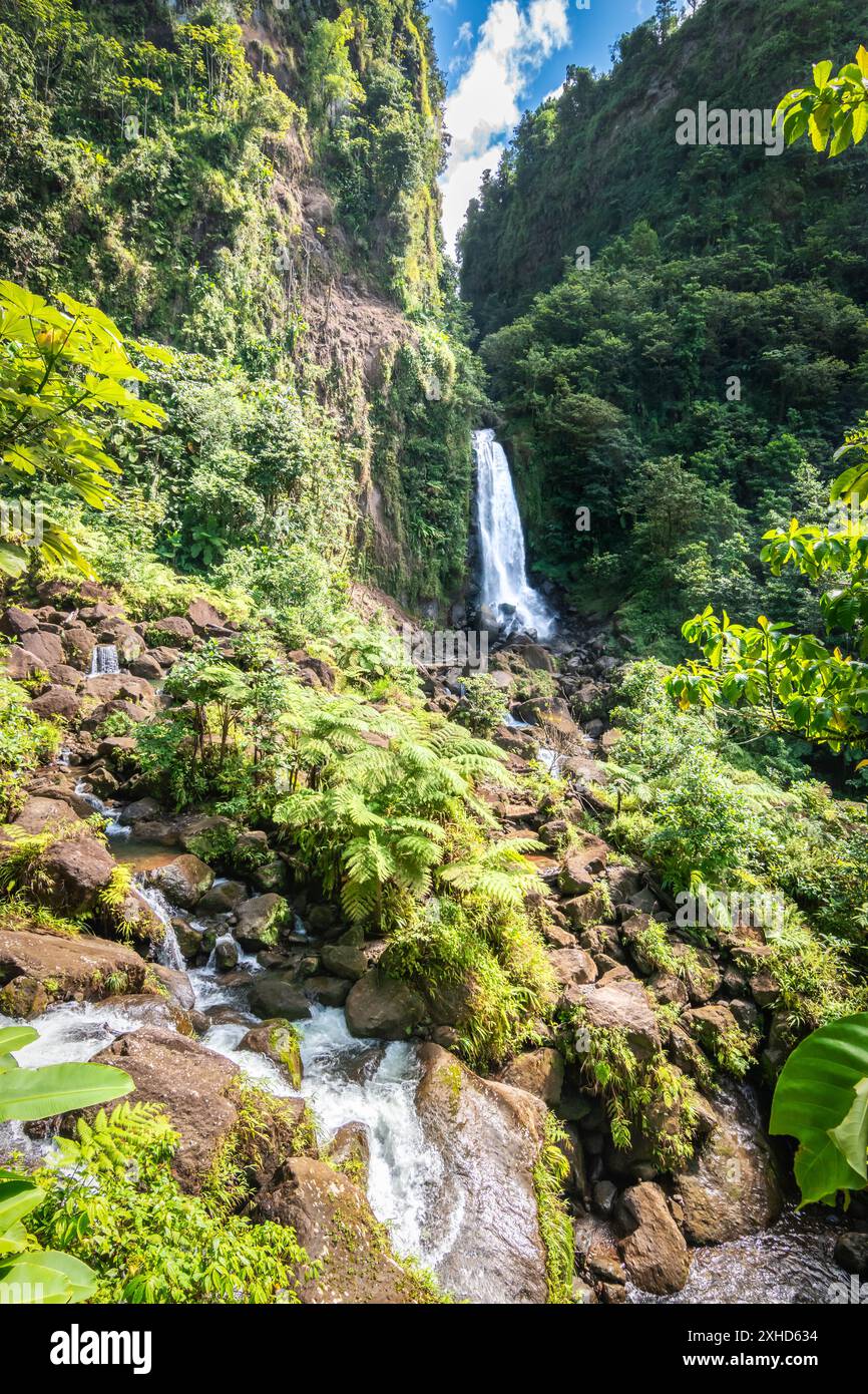 Cascate di Trafalgar, cascata nella foresta di Dominica, Caraibi. Foto Stock