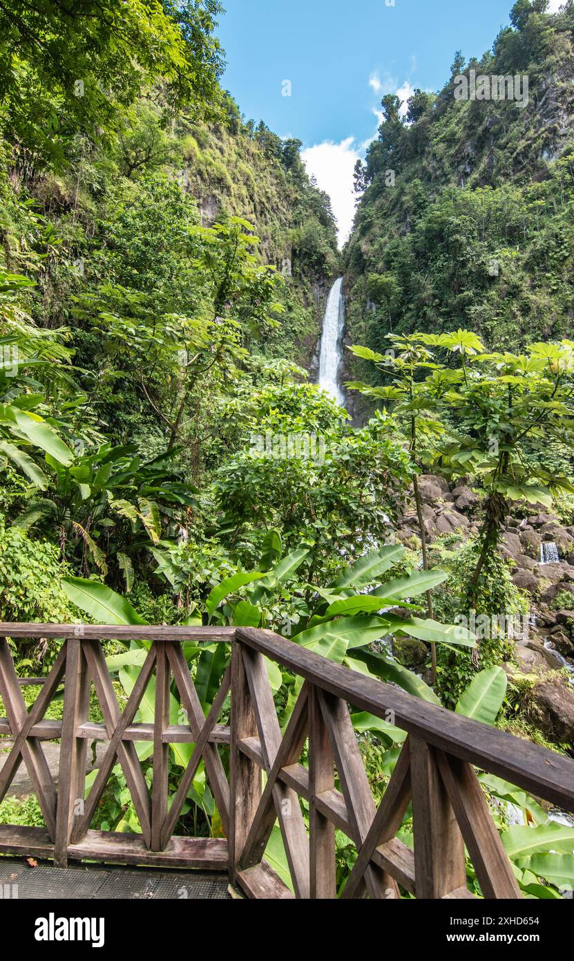 Cascata a Dominica, Caraibi. Cascate di Trafalgar. Foto Stock