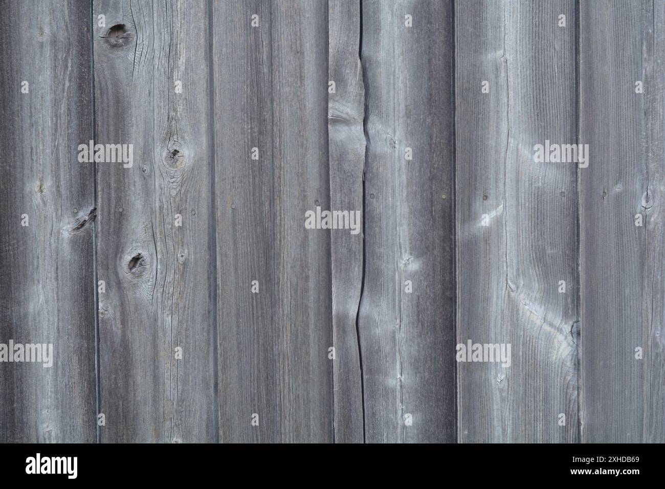 Primo piano di un rivestimento in legno su un capannone esterno che ha subito intemperie nel corso degli anni. Foto Stock