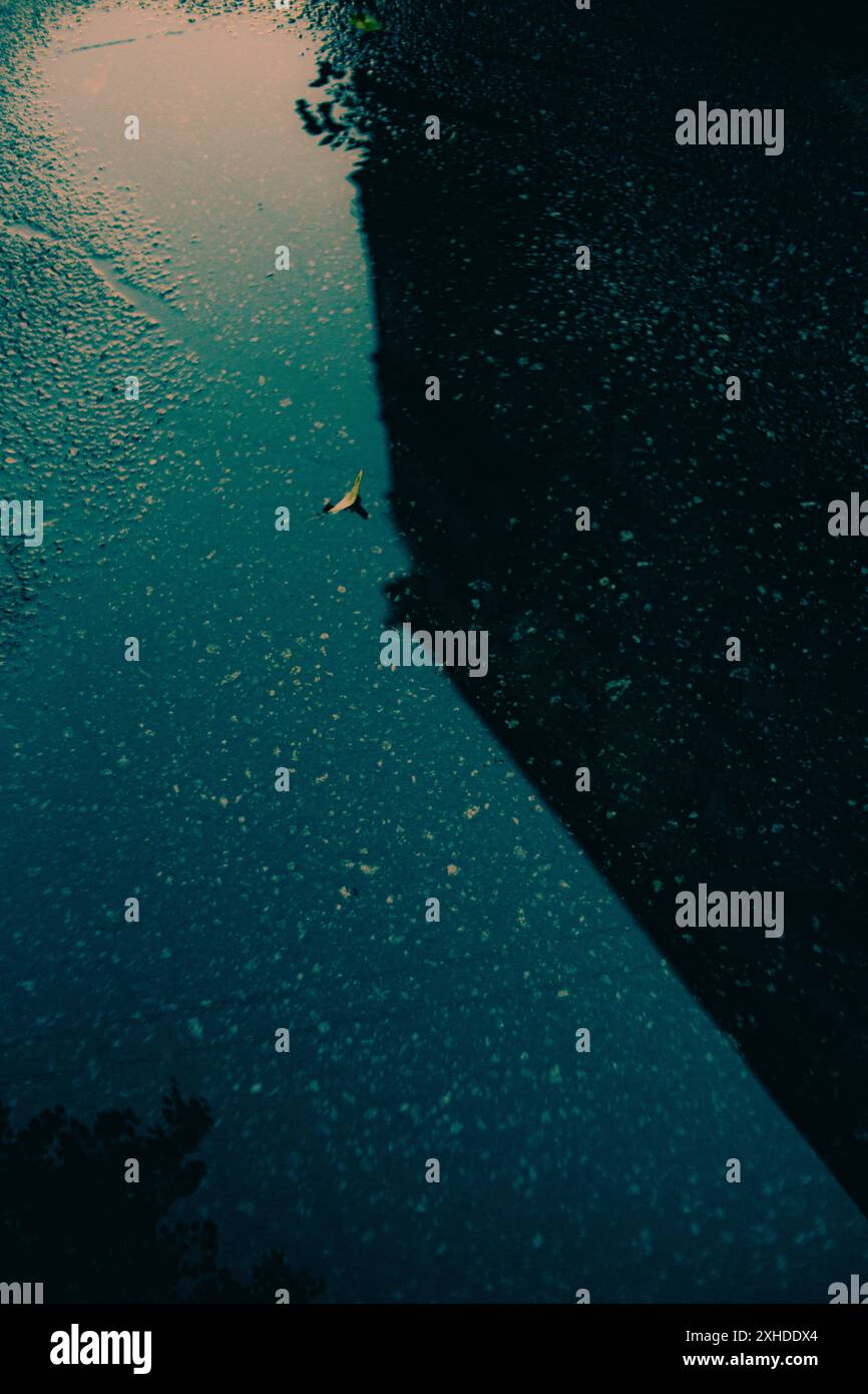 In una piccola pozzanghera della città, che riflette l'edificio, si può vedere una foglia caduta. Il tempo è dopo la pioggia e l'asfalto è bagnato. Foto Stock