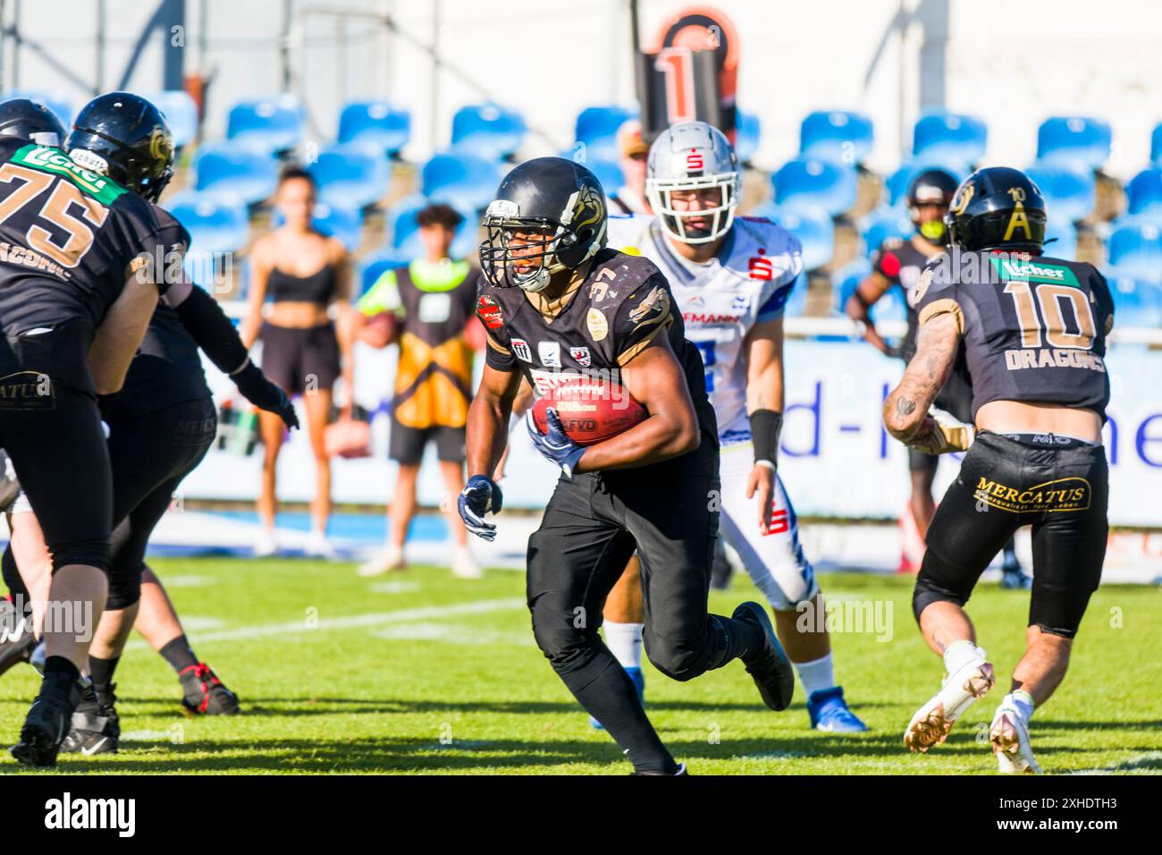 GFL 2 / German Football League, partita: Pforzheim Wilddogs - Gießen Golden Dragons nella Kramski Arena di Pforzheim Germania su 13. Luglio. 2024 . Foto Stock