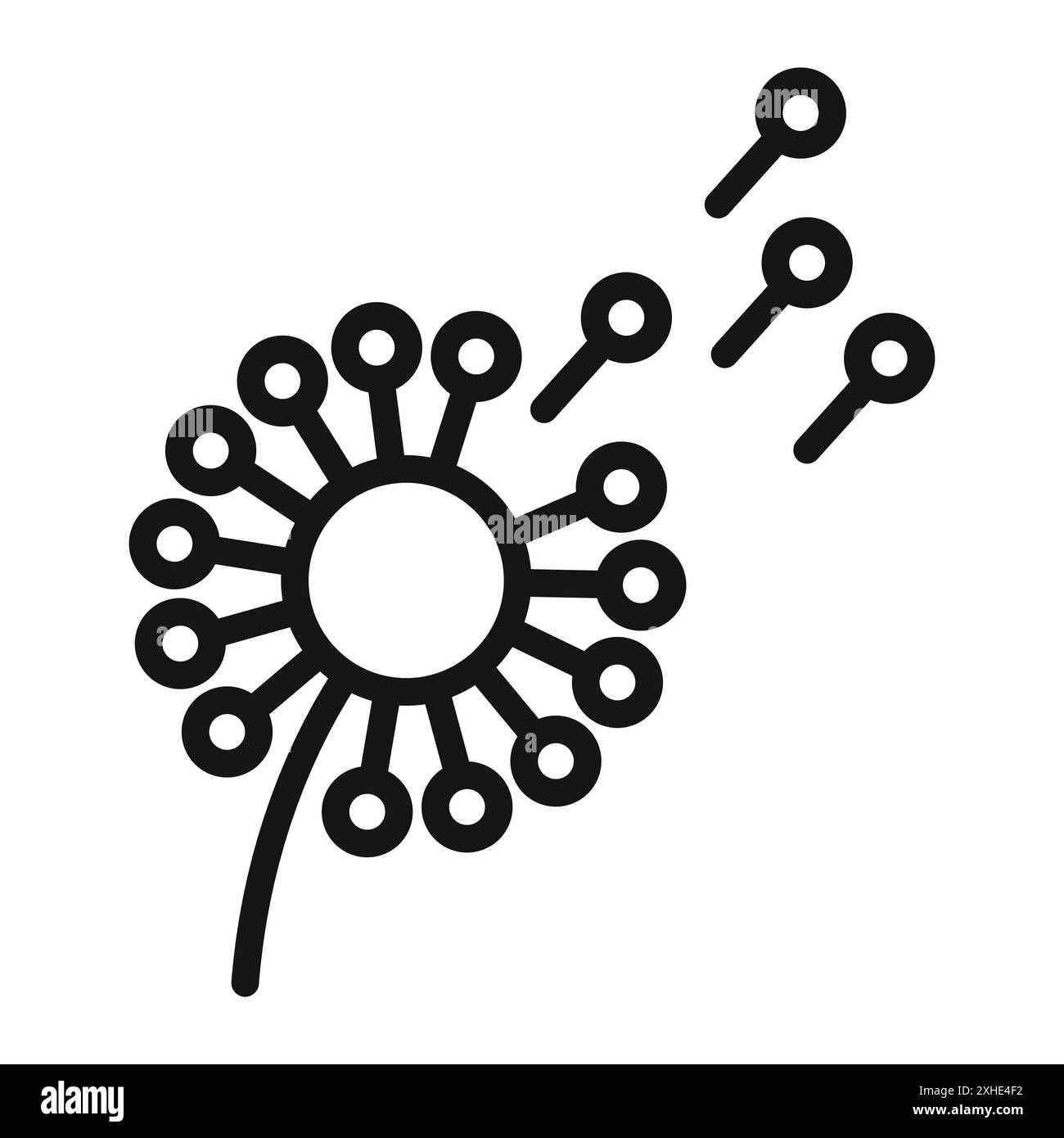 Icona del dente di leone simbolo vettoriale o collezione di set di simboli in bianco e nero Illustrazione Vettoriale