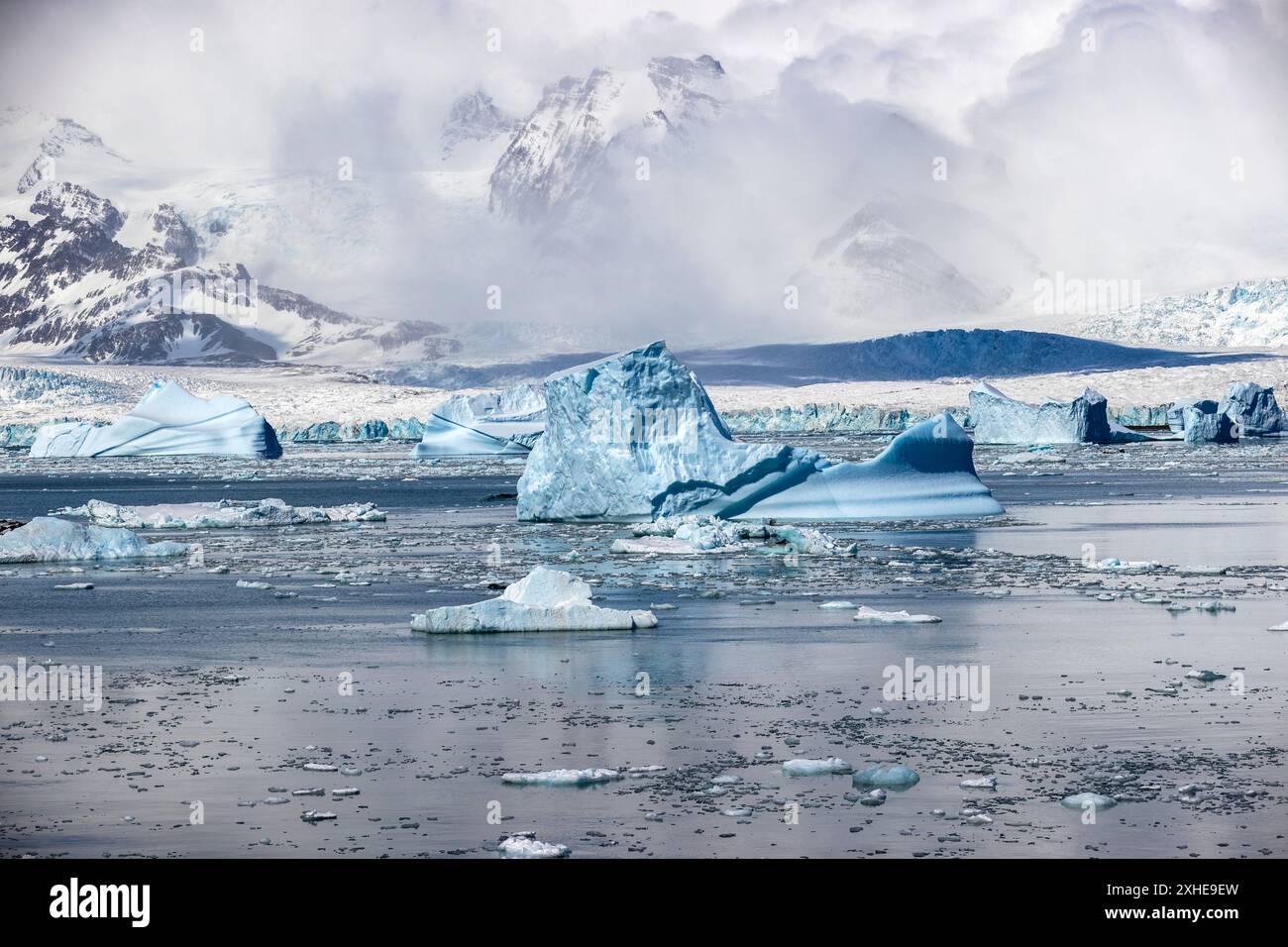 Iceberg, Cumberland East Bay, South Georgia Island, martedì 28 novembre, 2023. foto: David Rowland / One-Image.com Foto Stock