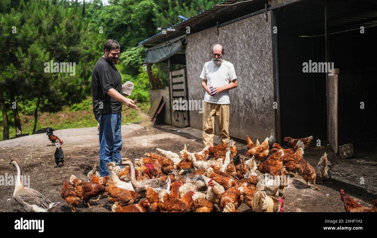 (240714) -- GUIYANG, 14 luglio 2024 (Xinhua) -- Kevin Cillen Michael E. (L) e suo padre nutrono il pollame nella sua fattoria nel villaggio di Xiasi, contea di Dushan, provincia di Guizhou, nella Cina sud-occidentale, 13 giugno 2024. Situato nel cuore delle montagne, nel villaggio di Xiasi si trova una fattoria ecologica a conduzione familiare unica. È gestito da Kevin Cillen Michael E., un belga di 28 anni che ha una passione per la terra. Insieme ai suoi genitori e fratelli, hanno combinato le tecniche agricole occidentali con le pratiche rurali locali per coltivare un'oasi ecologica in una zona remota. Circondato da colline verdeggianti e Foto Stock