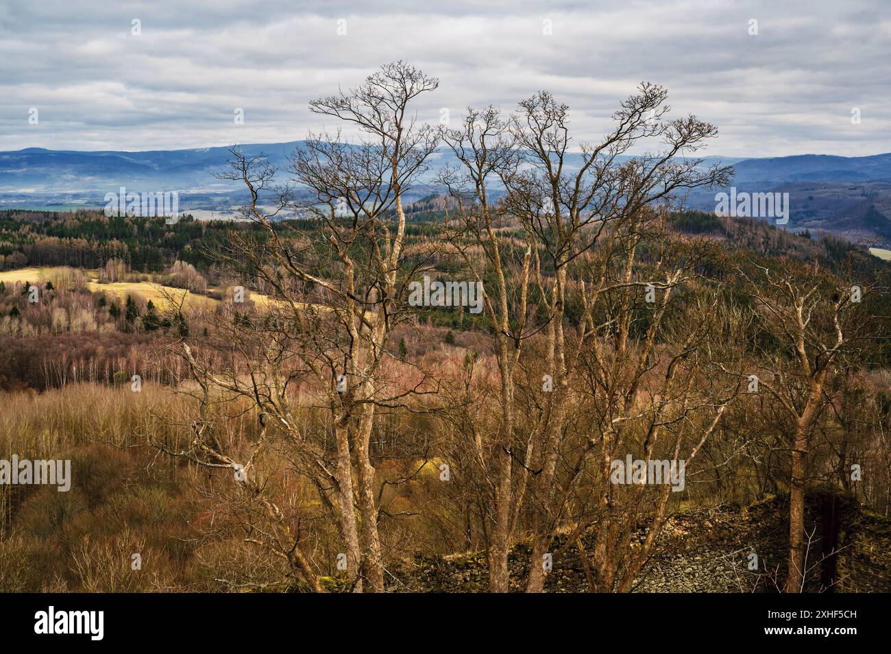 Albero, collina e foresta profonda, monte ore in primavera. Viwe da Angel Hill (Andelska hora), repubblica Ceca. Foto Stock