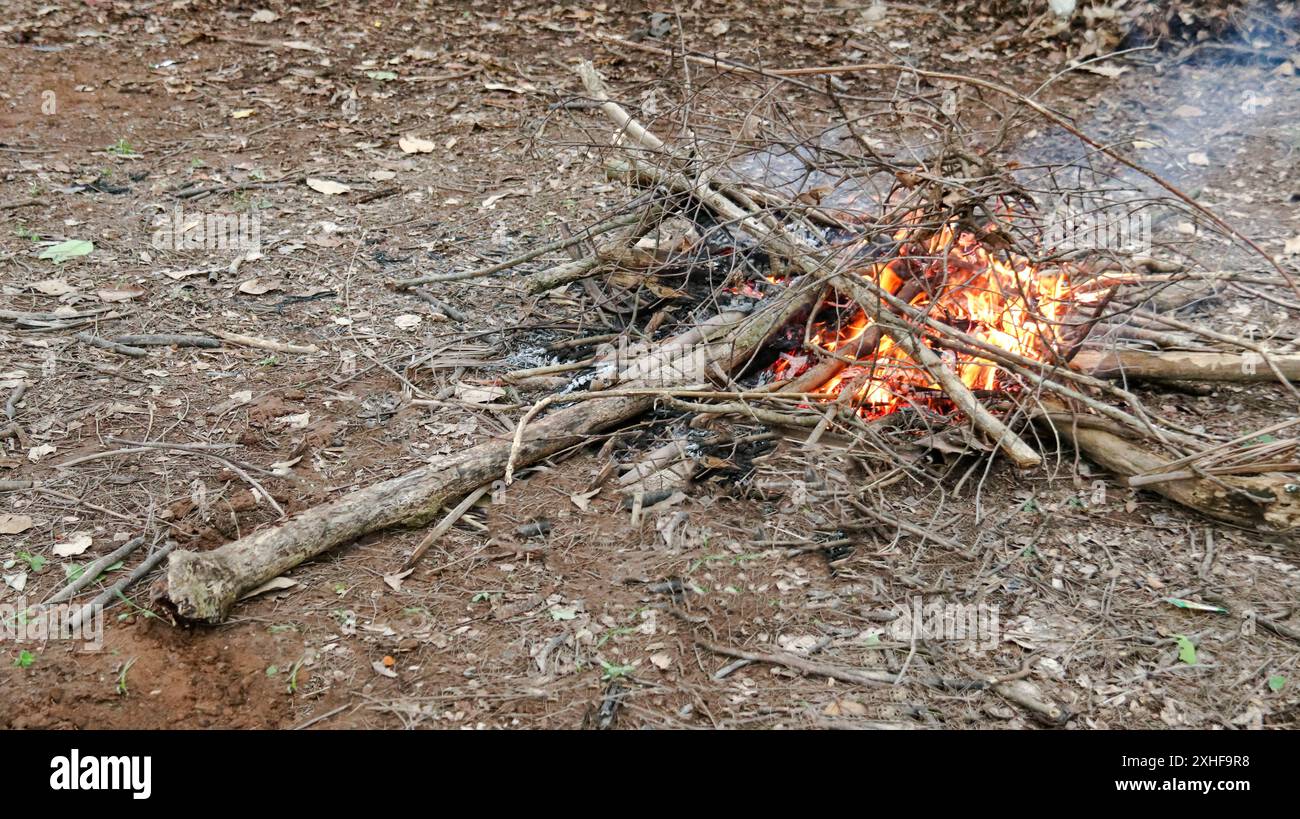 Immagine di un falò, che promuove il concetto di non bruciare le foreste e incoraggia la cura sostenibile delle foreste. Foto Stock