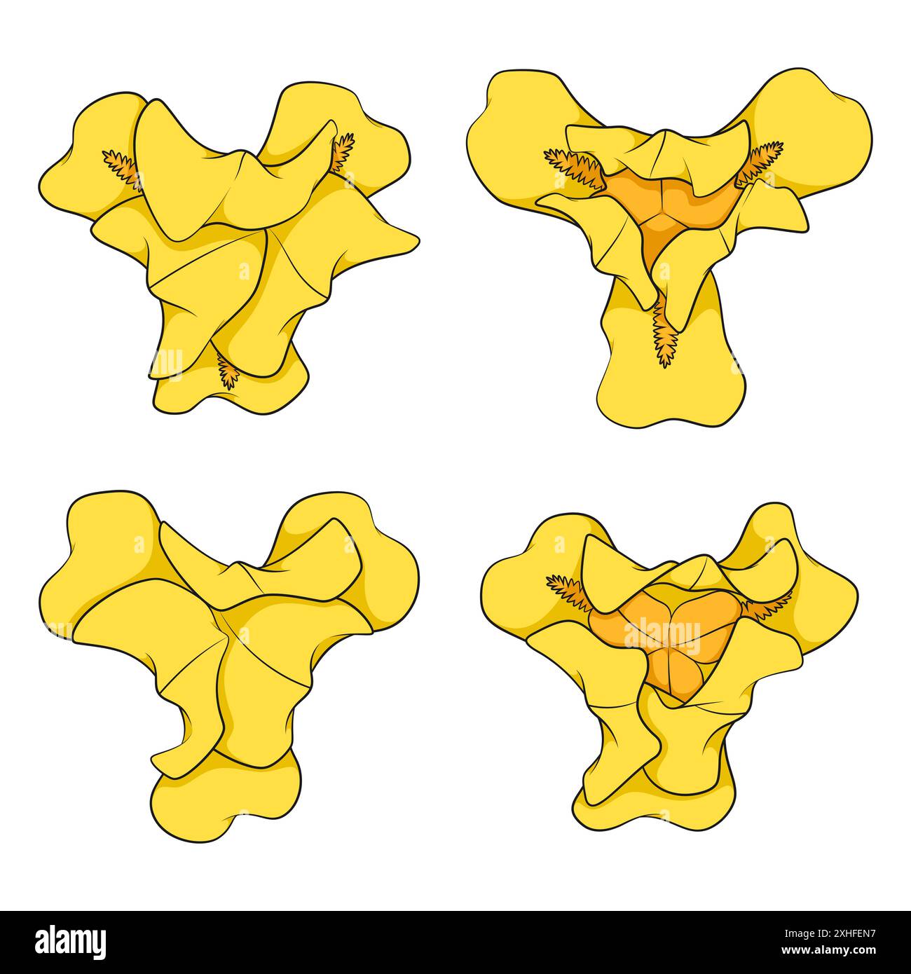 Set di illustrazioni a colori con fiori di iride gialli. Oggetti vettoriali isolati su sfondo bianco. Illustrazione Vettoriale